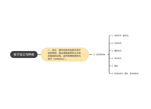 栓子定义与种类