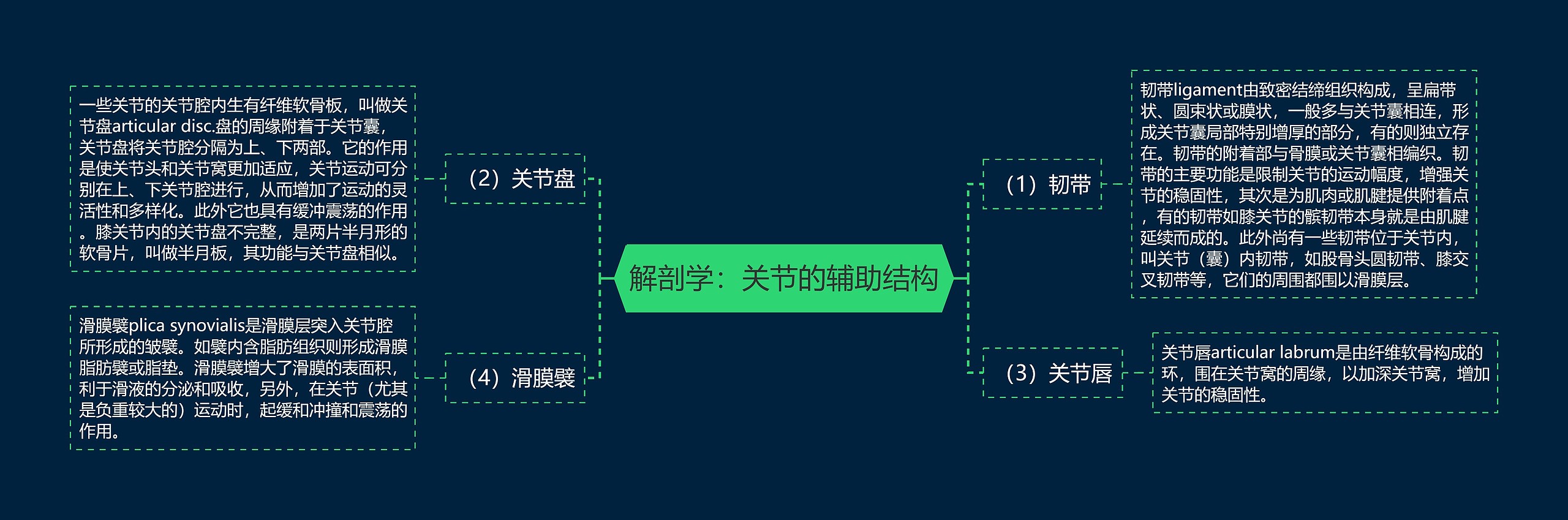 解剖学:关节的辅助结构思维导图高清图 解剖学:关节的辅助结构思维导图