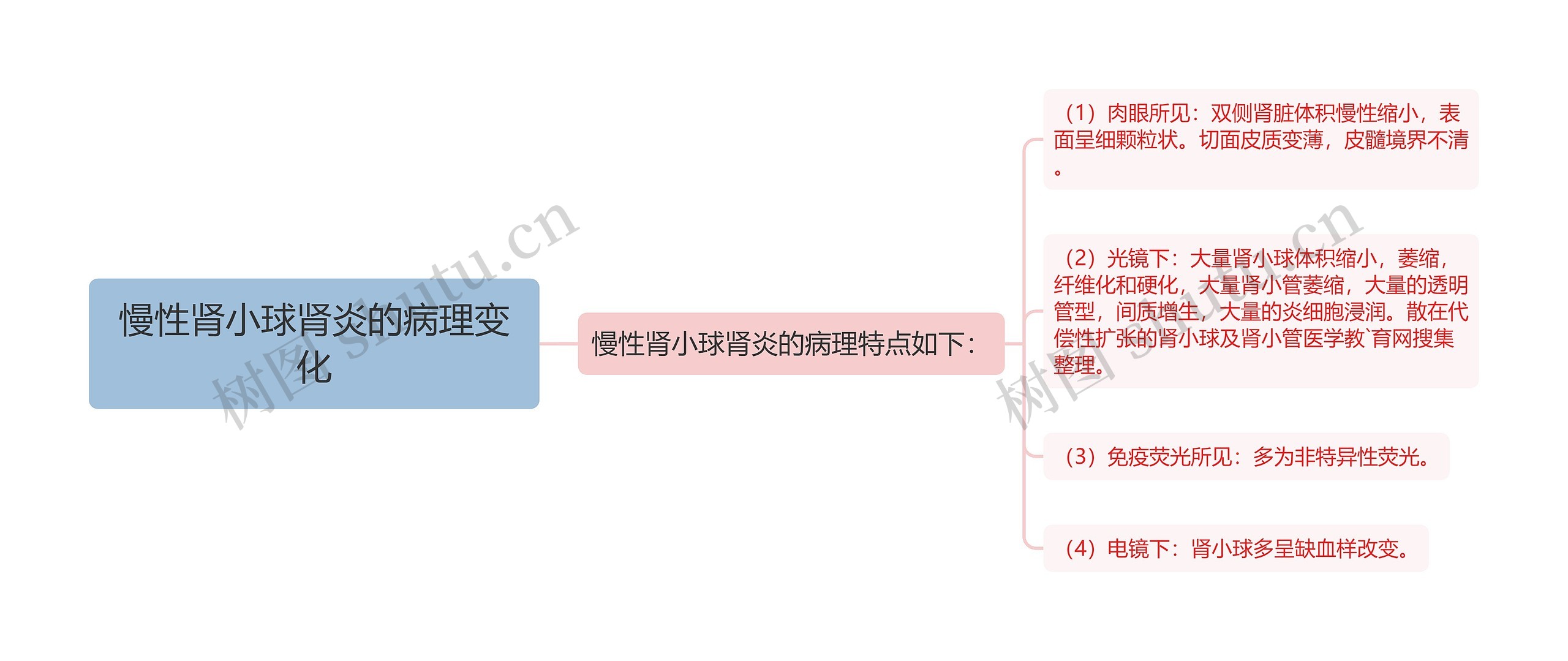 慢性肾小球肾炎的病理变化思维导图