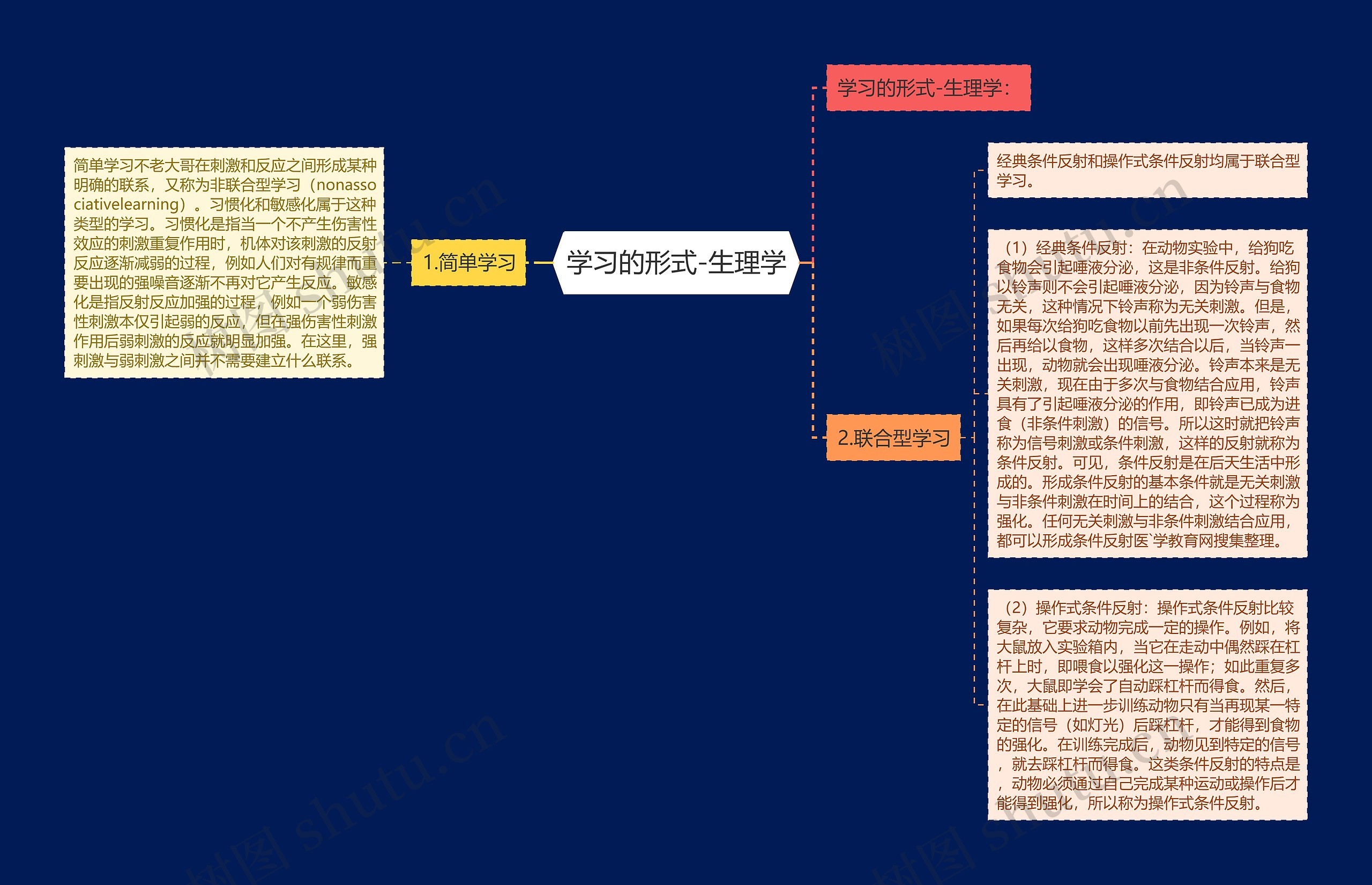 学习的形式-生理学思维导图