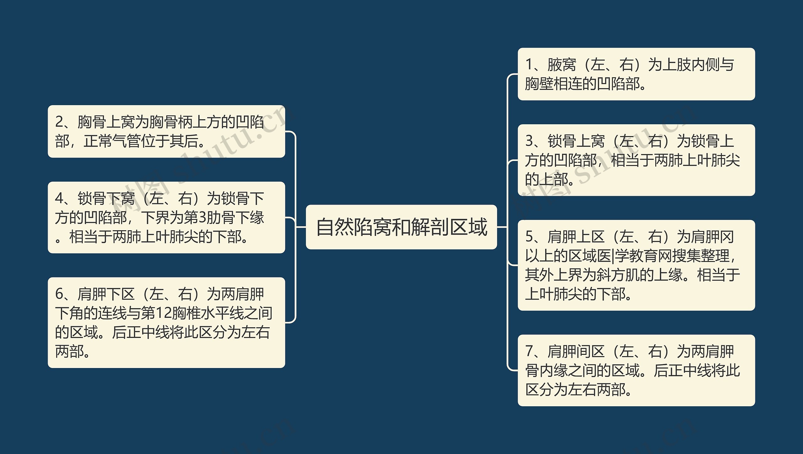 自然陷窝和解剖区域