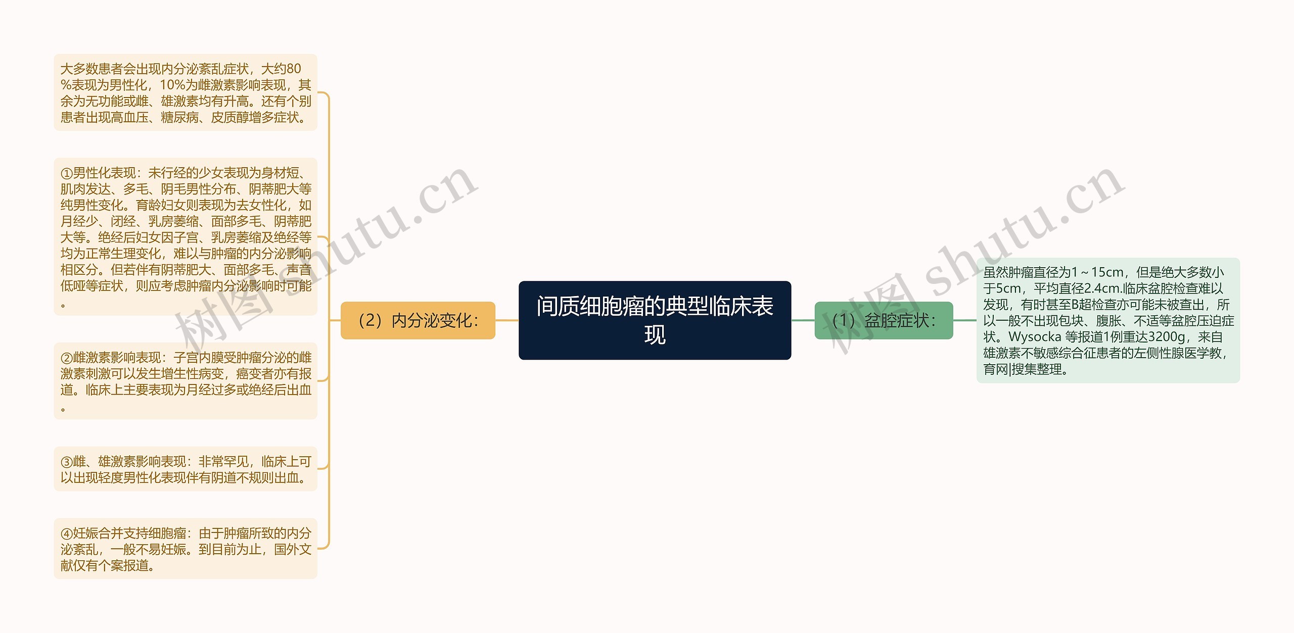 间质细胞瘤的典型临床表现思维导图