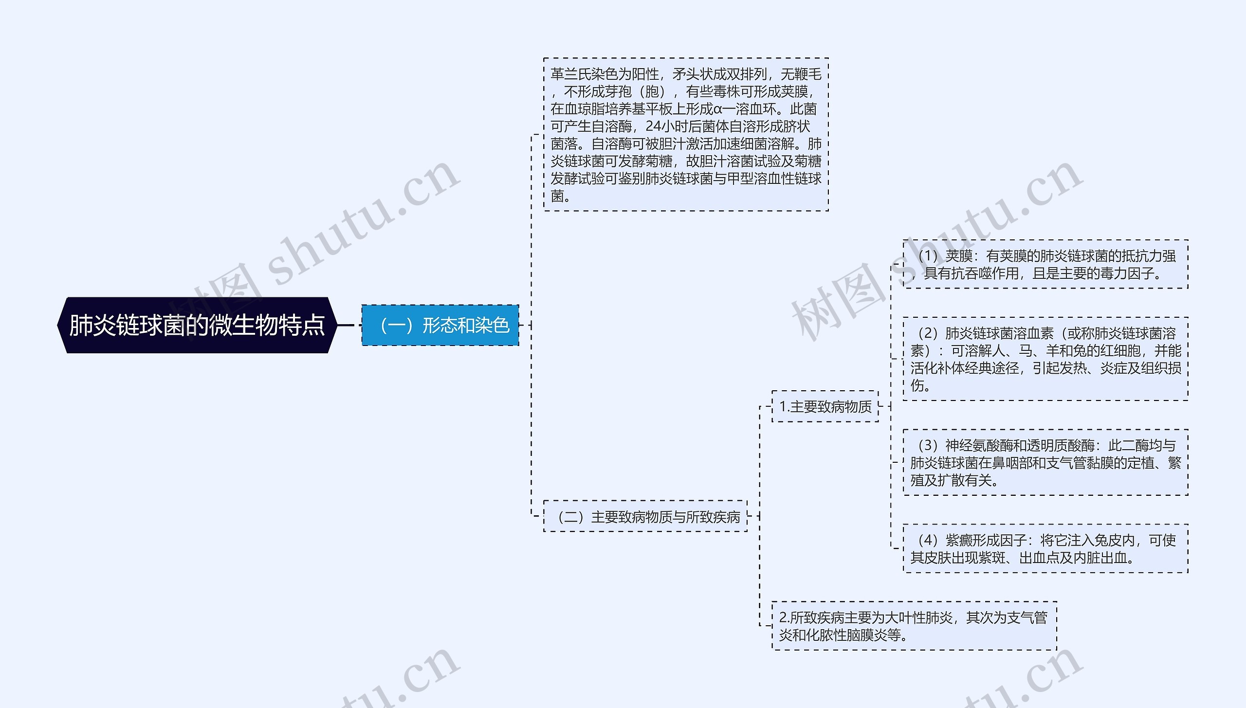 肺炎链球菌的微生物特点思维导图