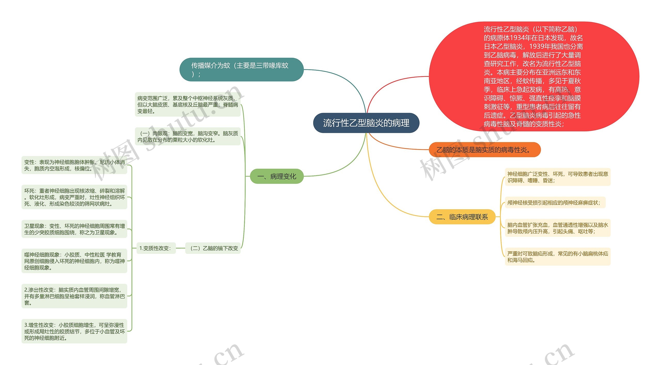 流行性乙型脑炎的病理思维导图