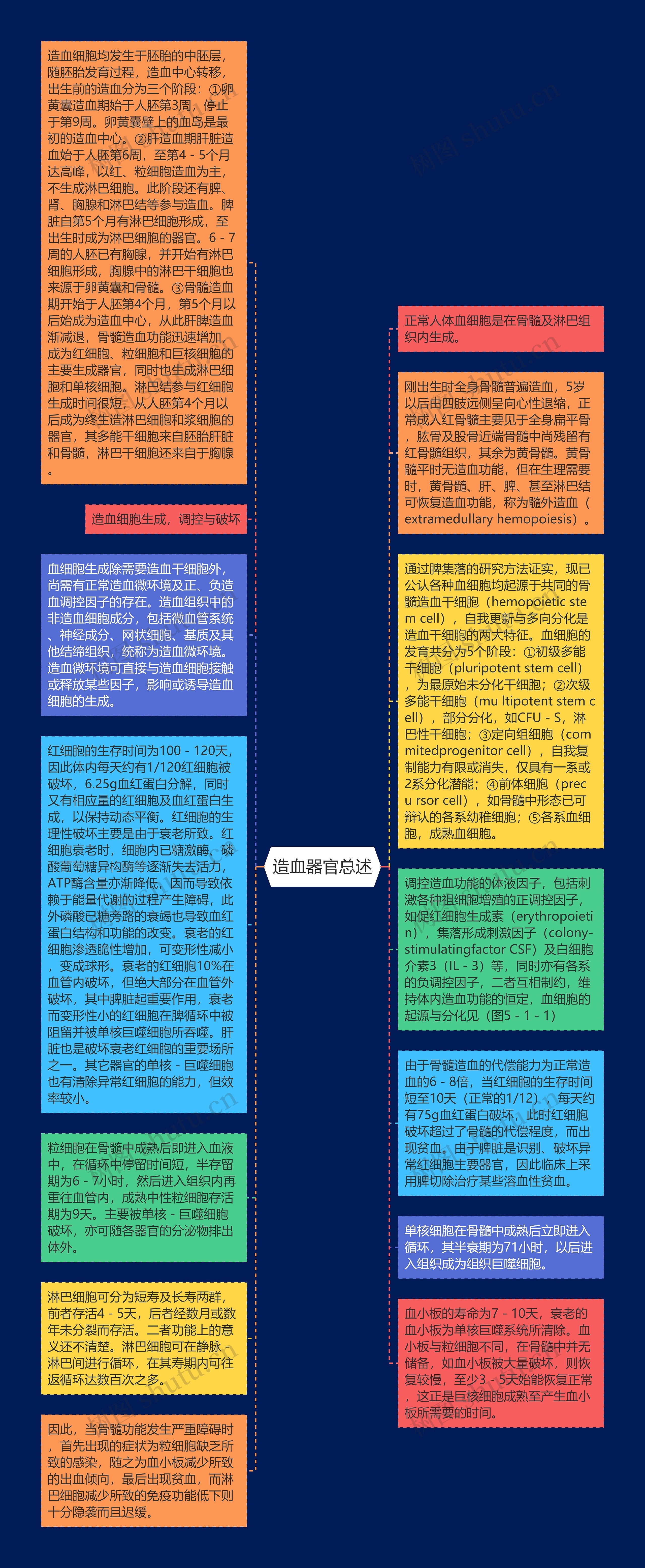 造血器官总述