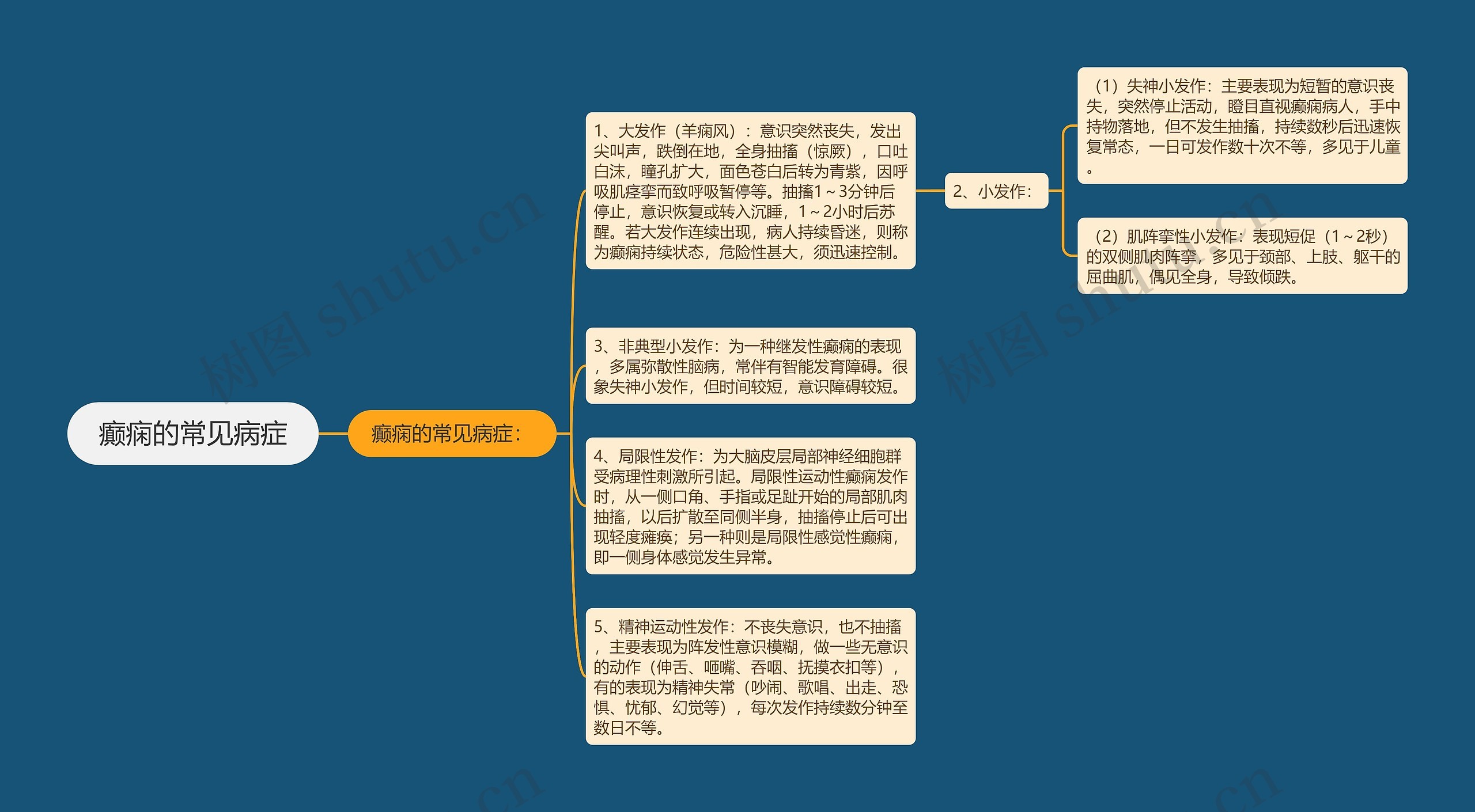 癫痫的常见病症