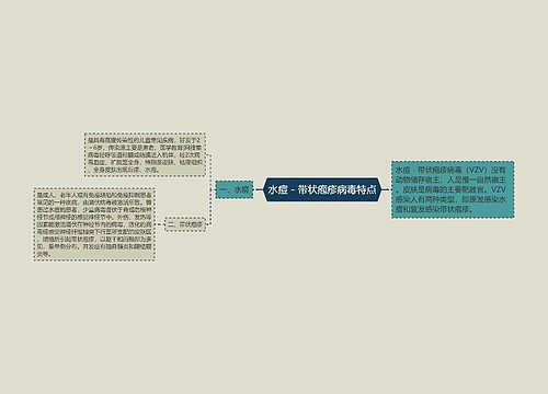 水痘－带状疱疹病毒特点