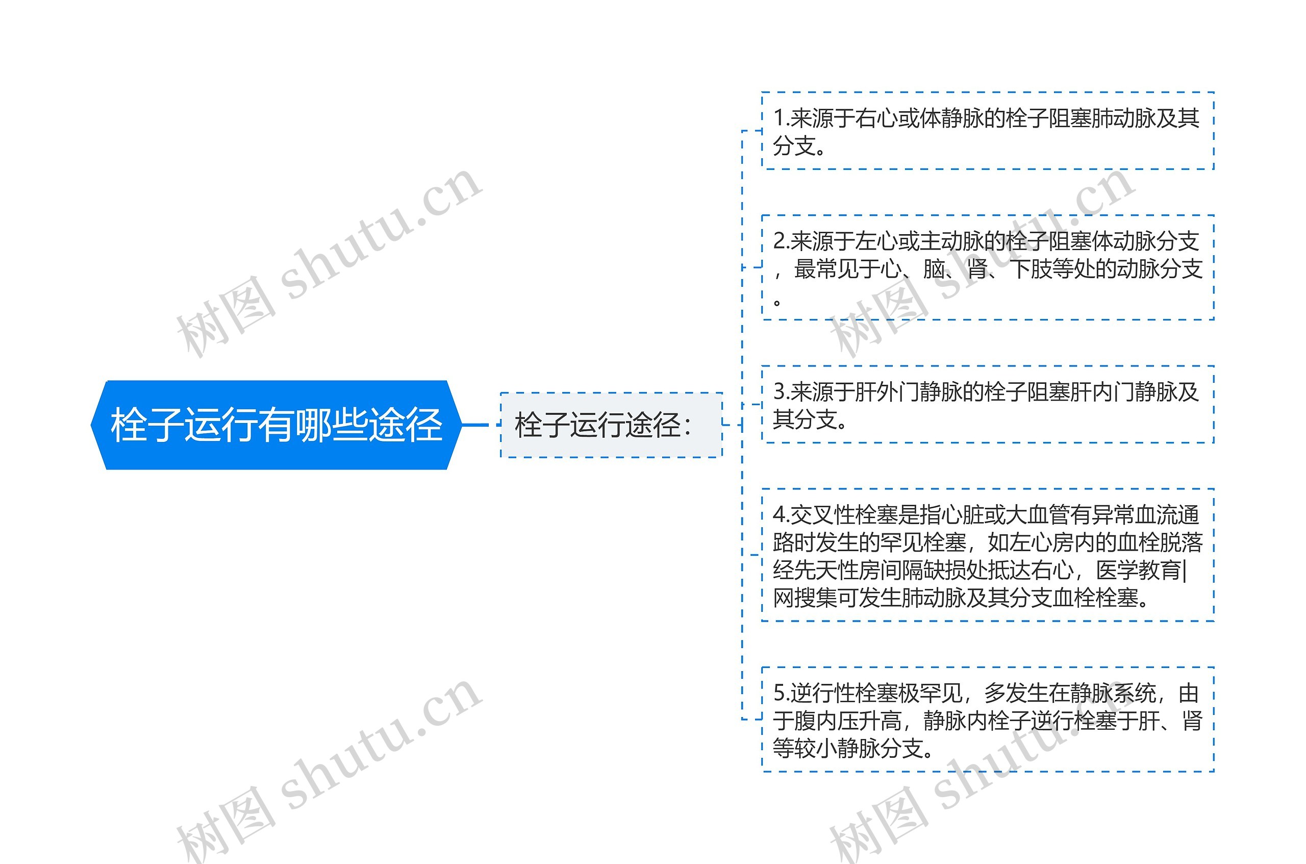 栓子运行有哪些途径