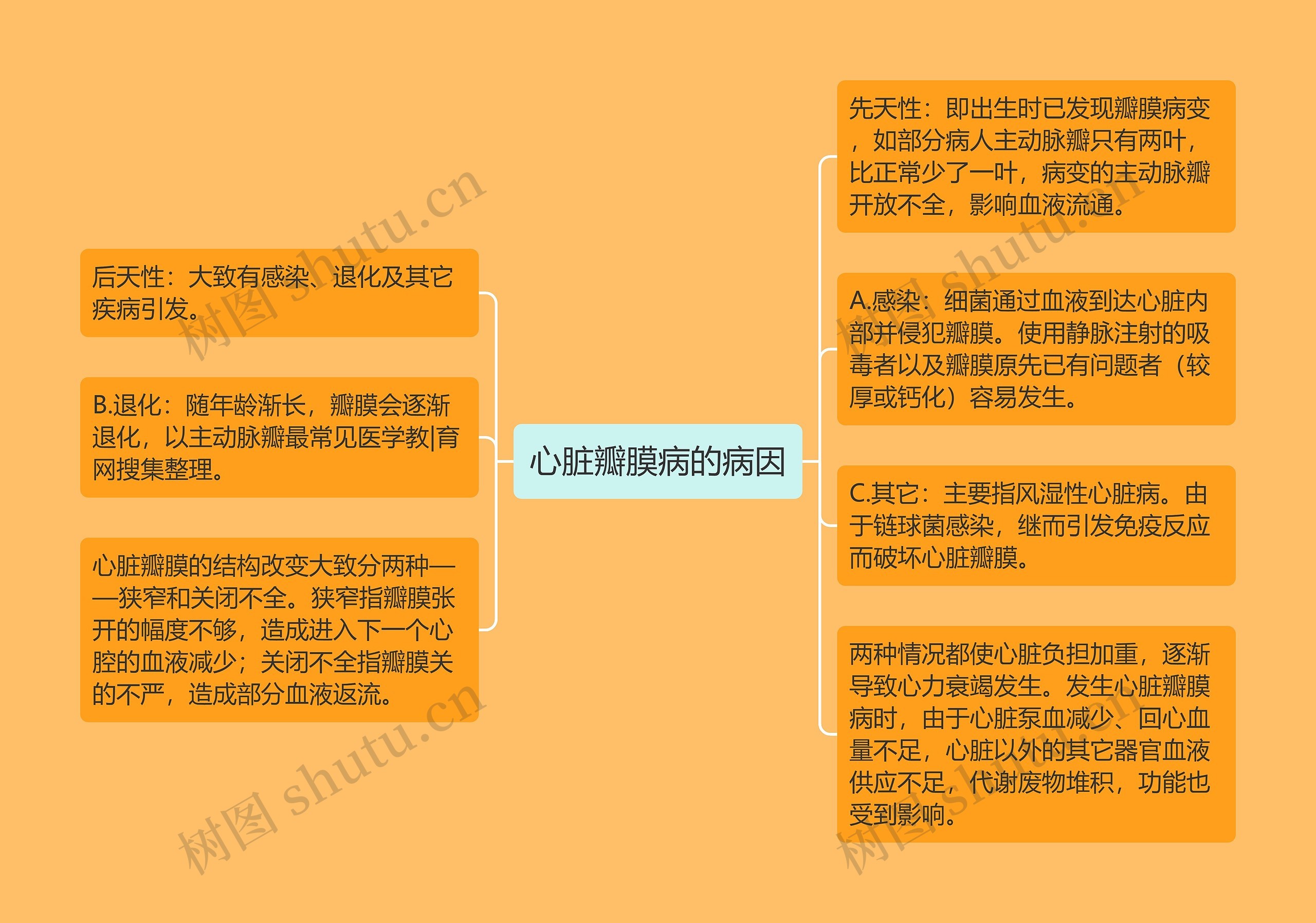 心脏瓣膜病的病因 心脏瓣膜病的病因