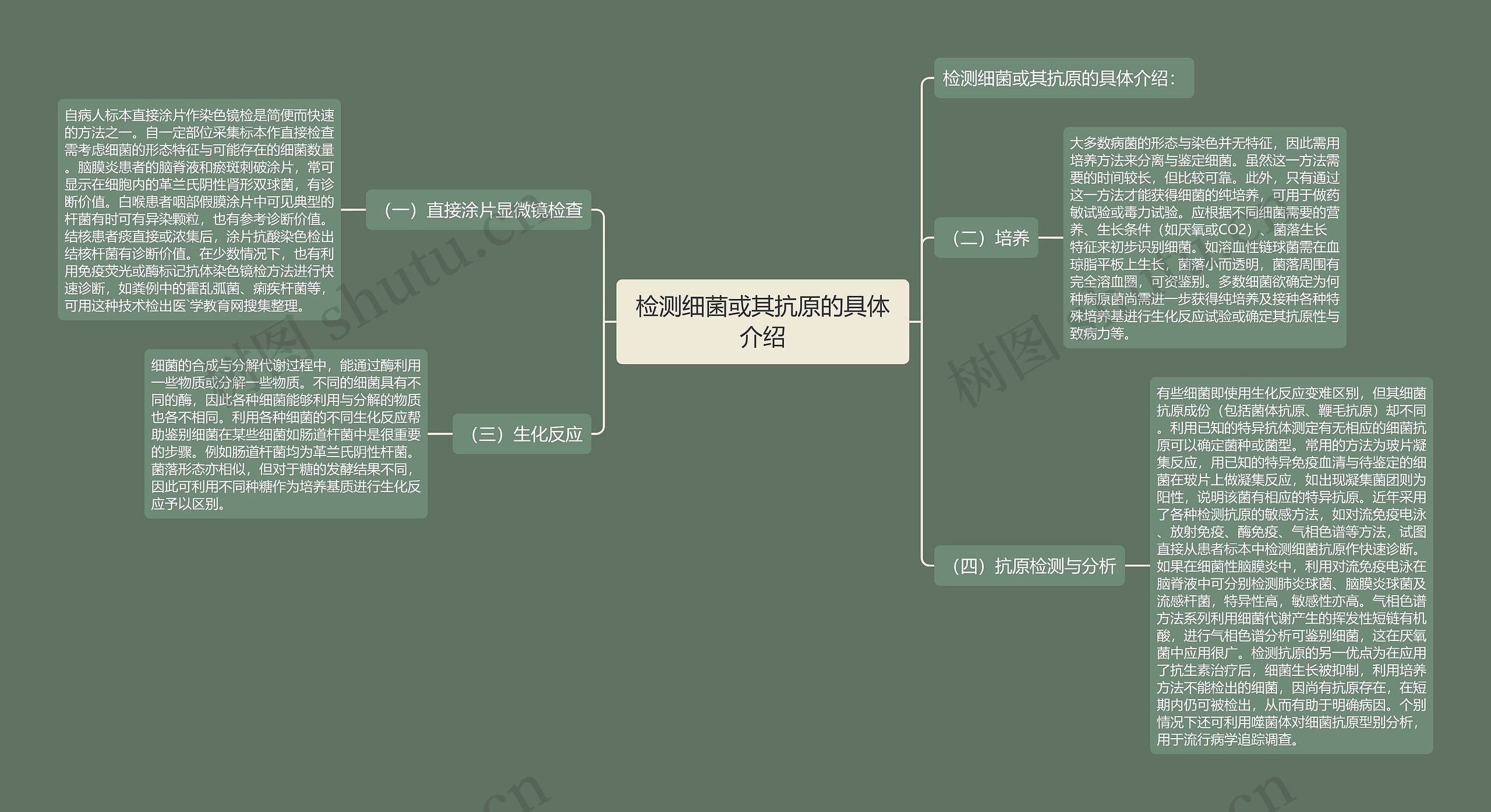 检测细菌或其抗原的具体介绍