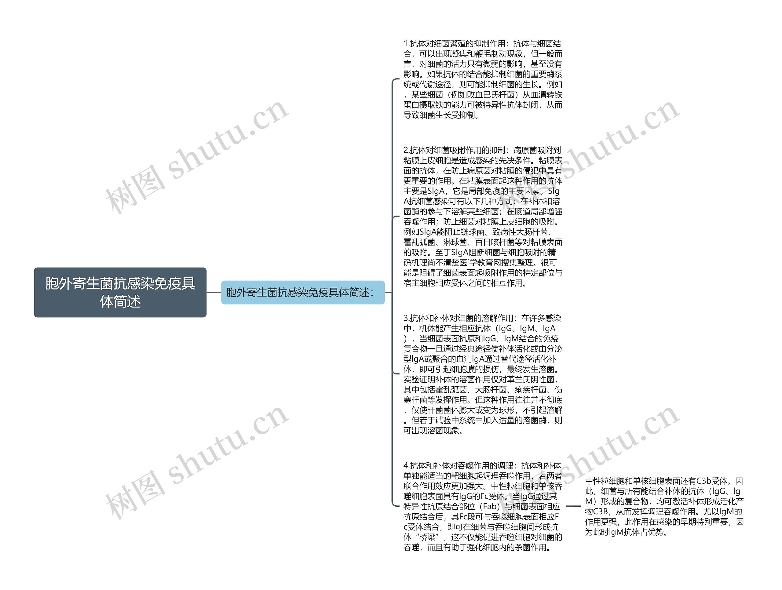 胞外寄生菌抗感染免疫具体简述思维导图