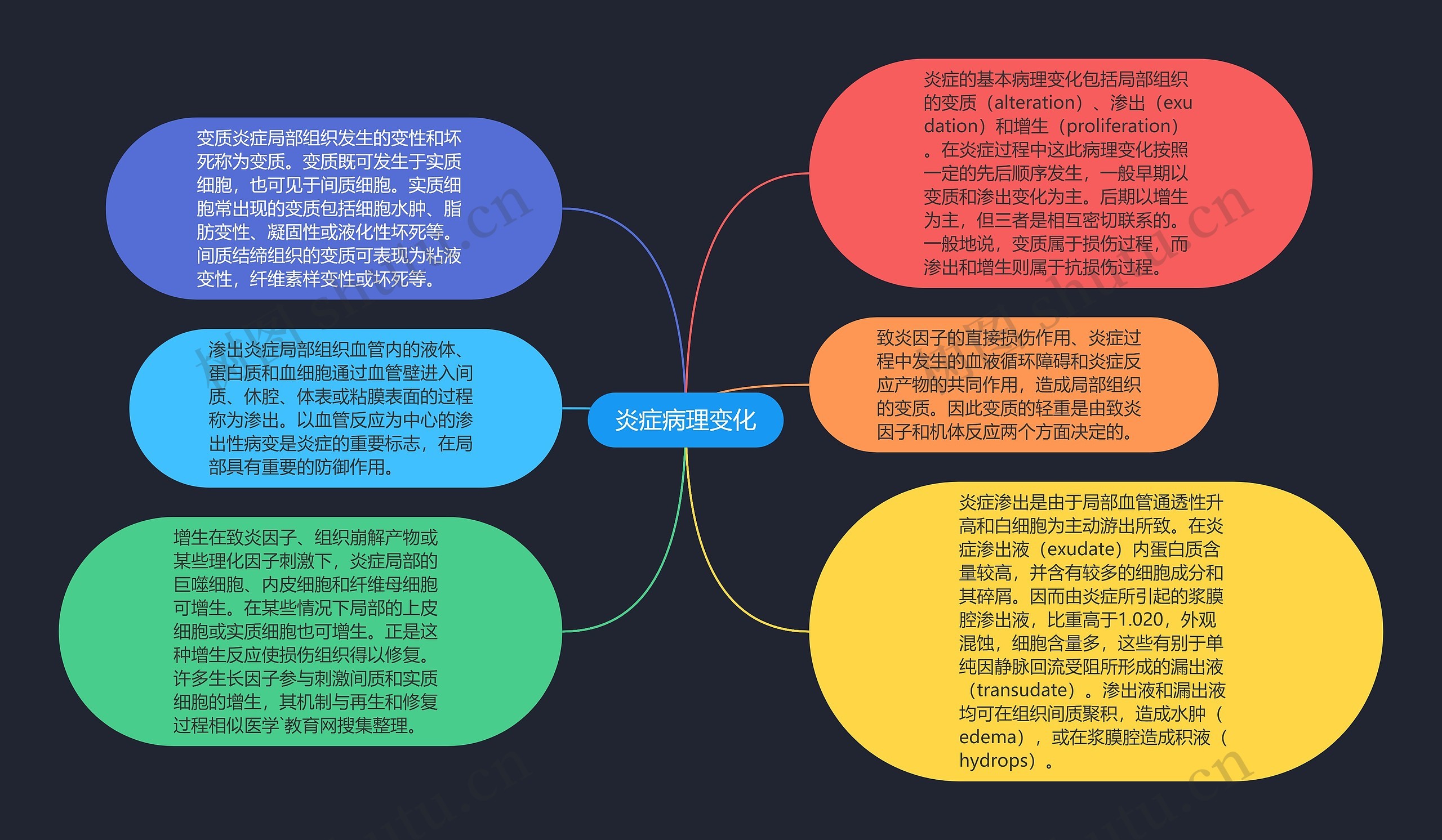 炎症病理变化思维导图