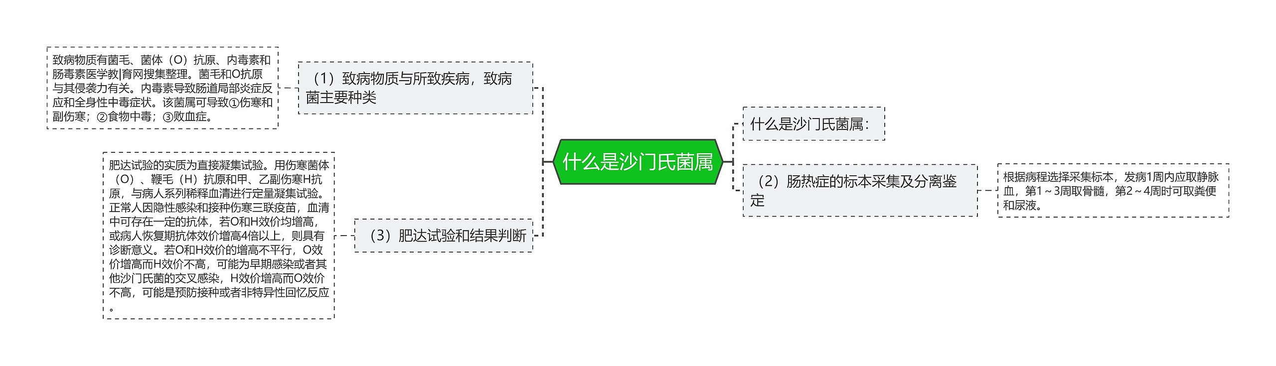 什么是沙门氏菌属思维导图