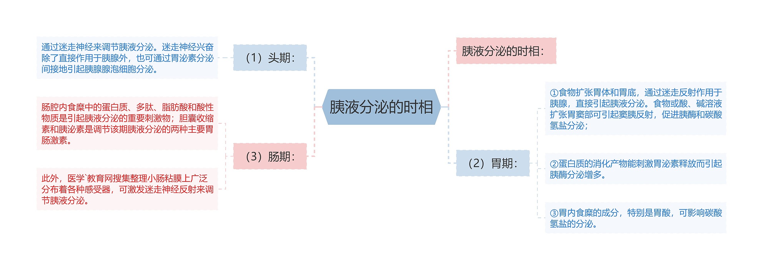 胰液分泌的时相思维导图