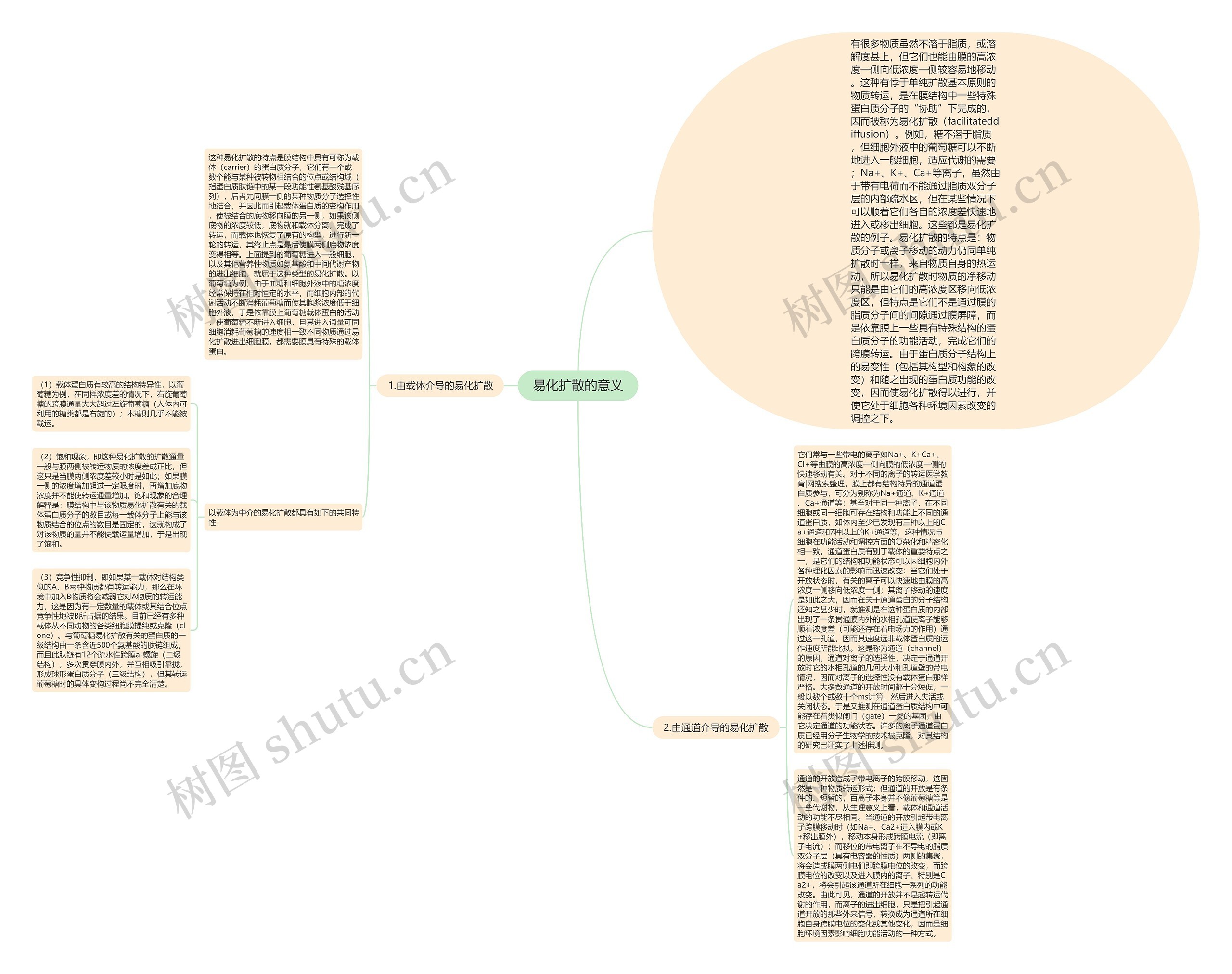 易化扩散的意义思维导图