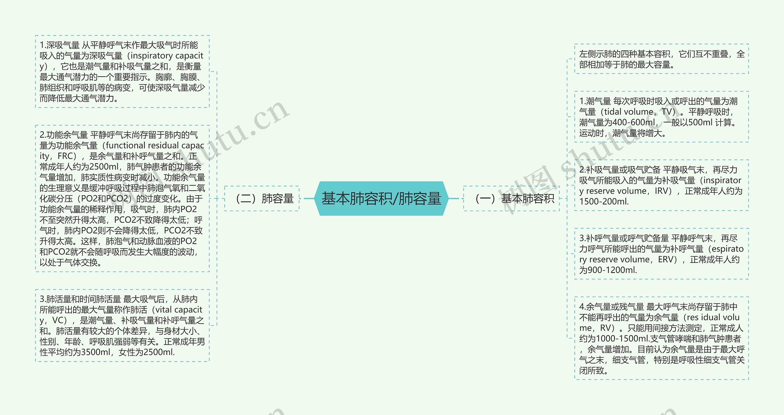 基本肺容积/肺容量 基本肺容积/肺容量