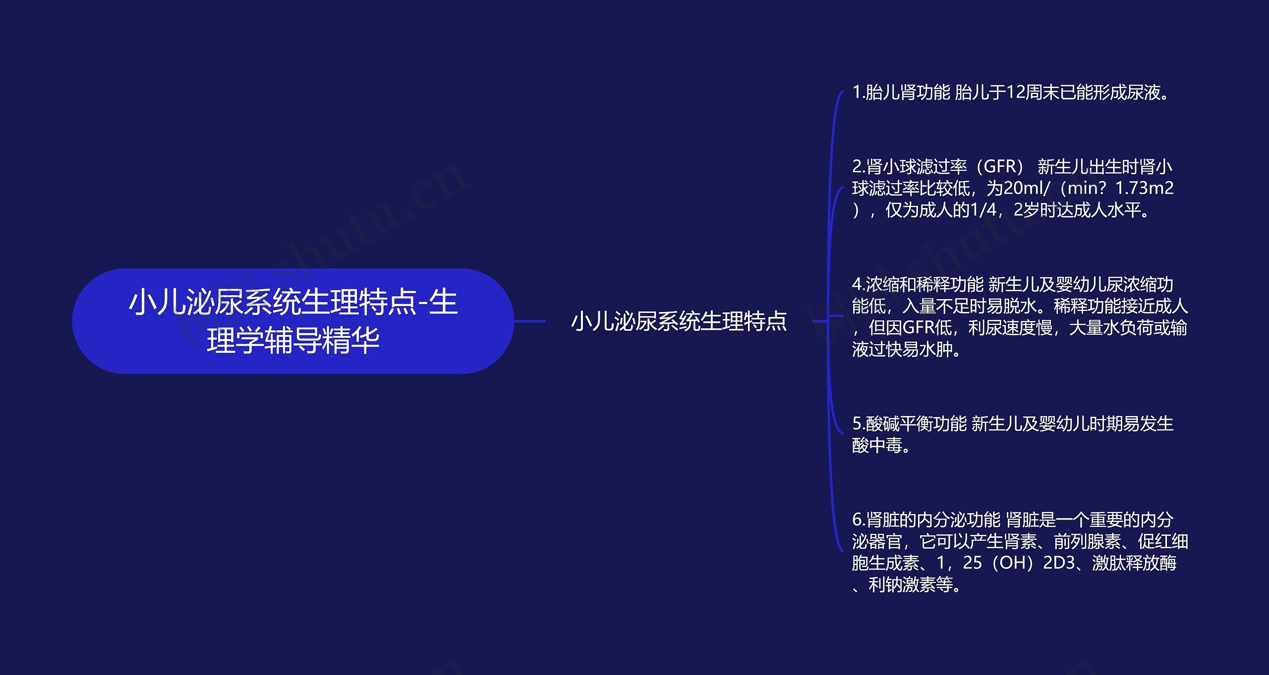 小儿泌尿系统生理特点-生理学辅导精华 小儿泌尿系统生理特点-生理学辅导精华