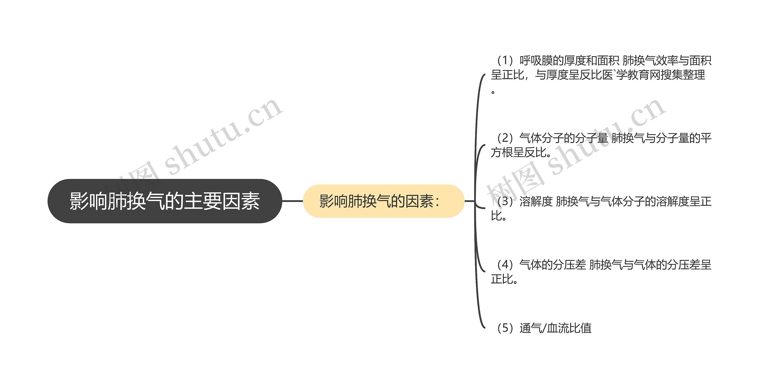 影响肺换气的主要因素思维导图