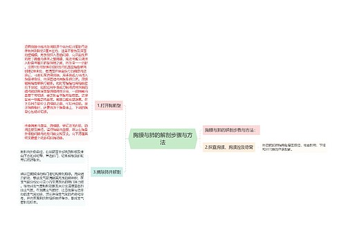 胸膜与肺的解剖步骤与方法