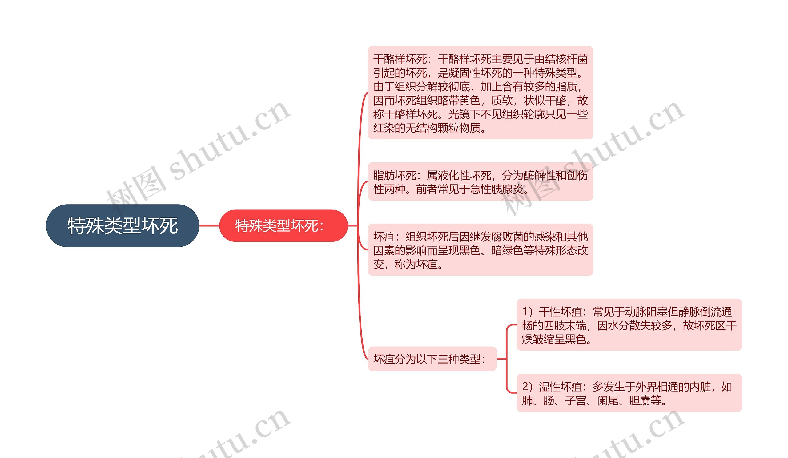 特殊类型坏死思维导图