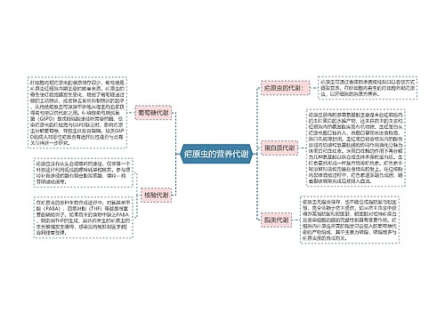 疟原虫的营养代谢