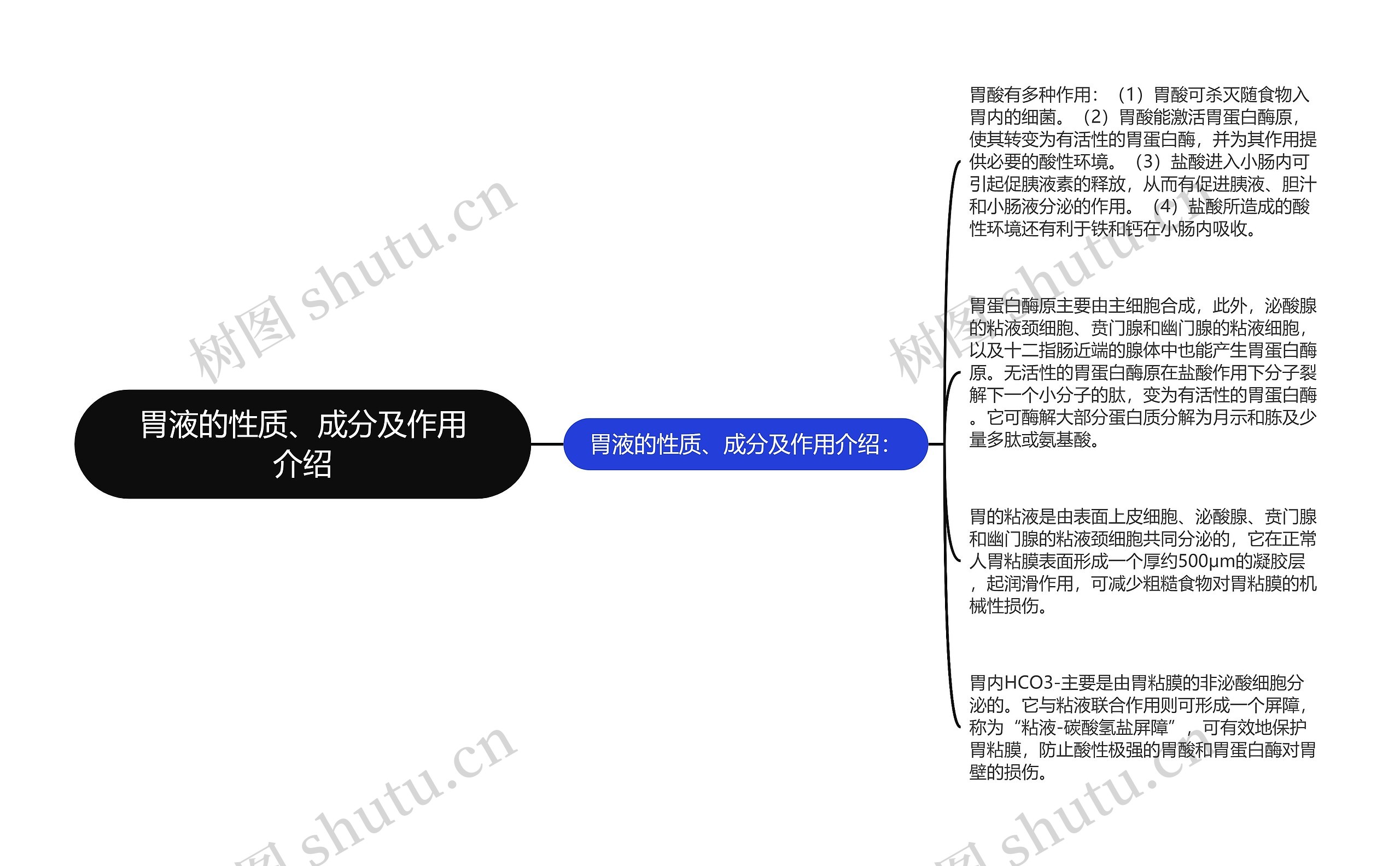 胃液的性质、成分及作用介绍