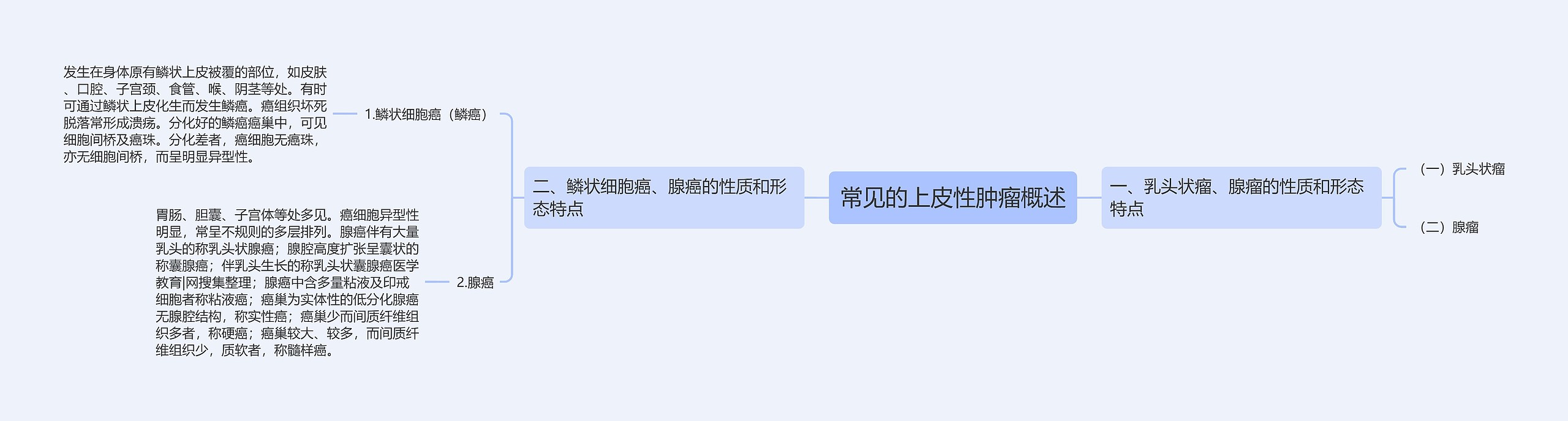 常见的上皮性肿瘤概述 常见的上皮性肿瘤概述