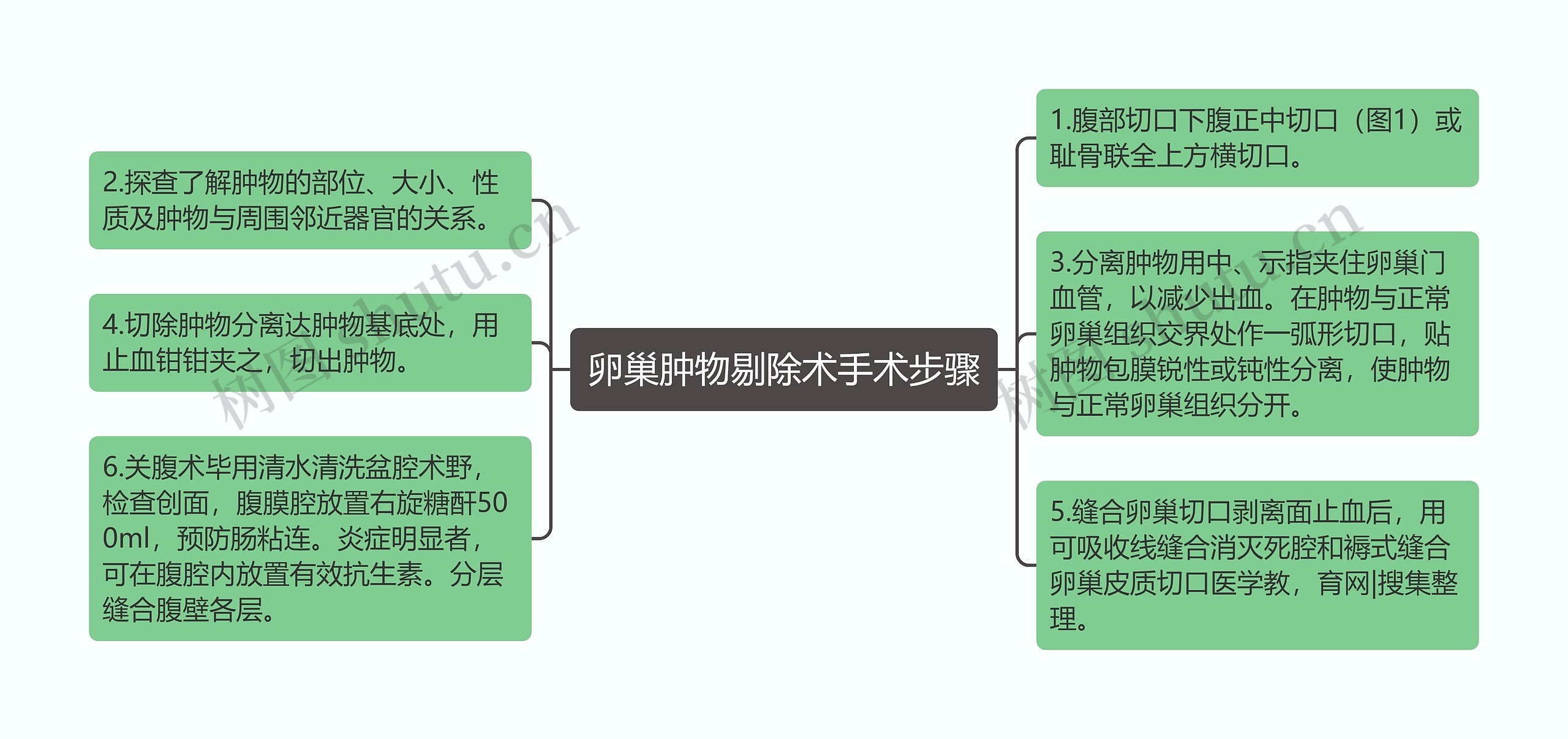 卵巢肿物剔除术手术步骤思维导图