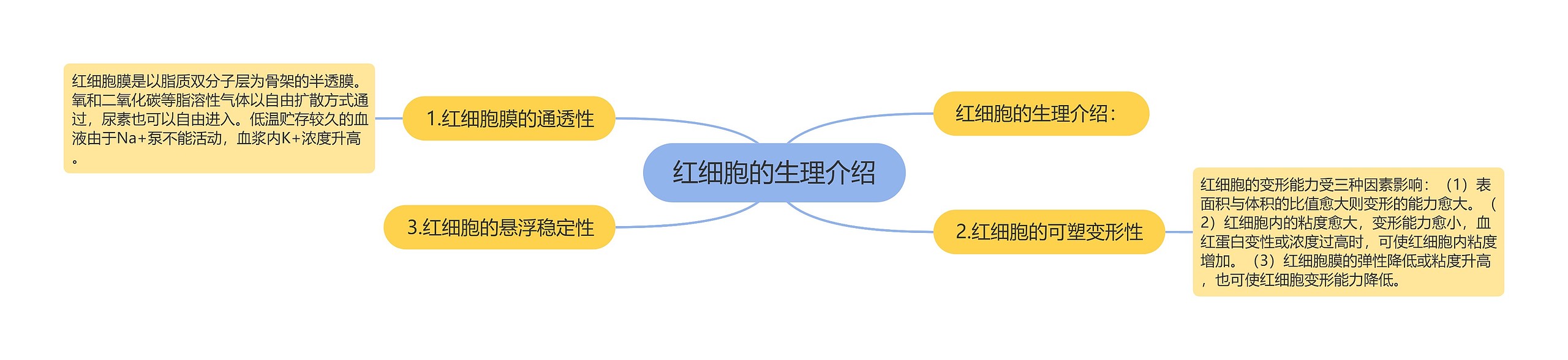 红细胞的生理介绍思维导图