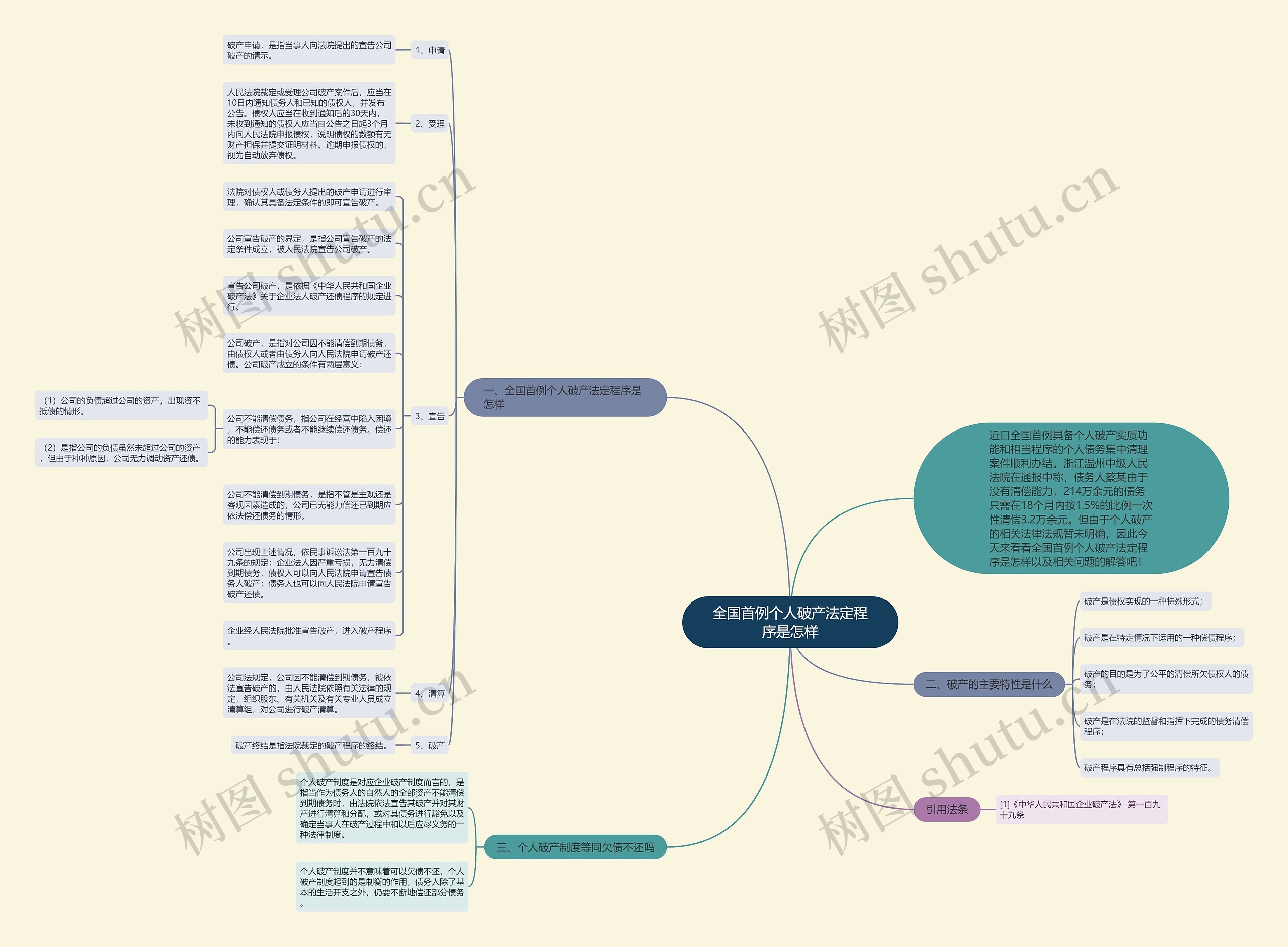 全国首例个人破产法定程序是怎样思维导图