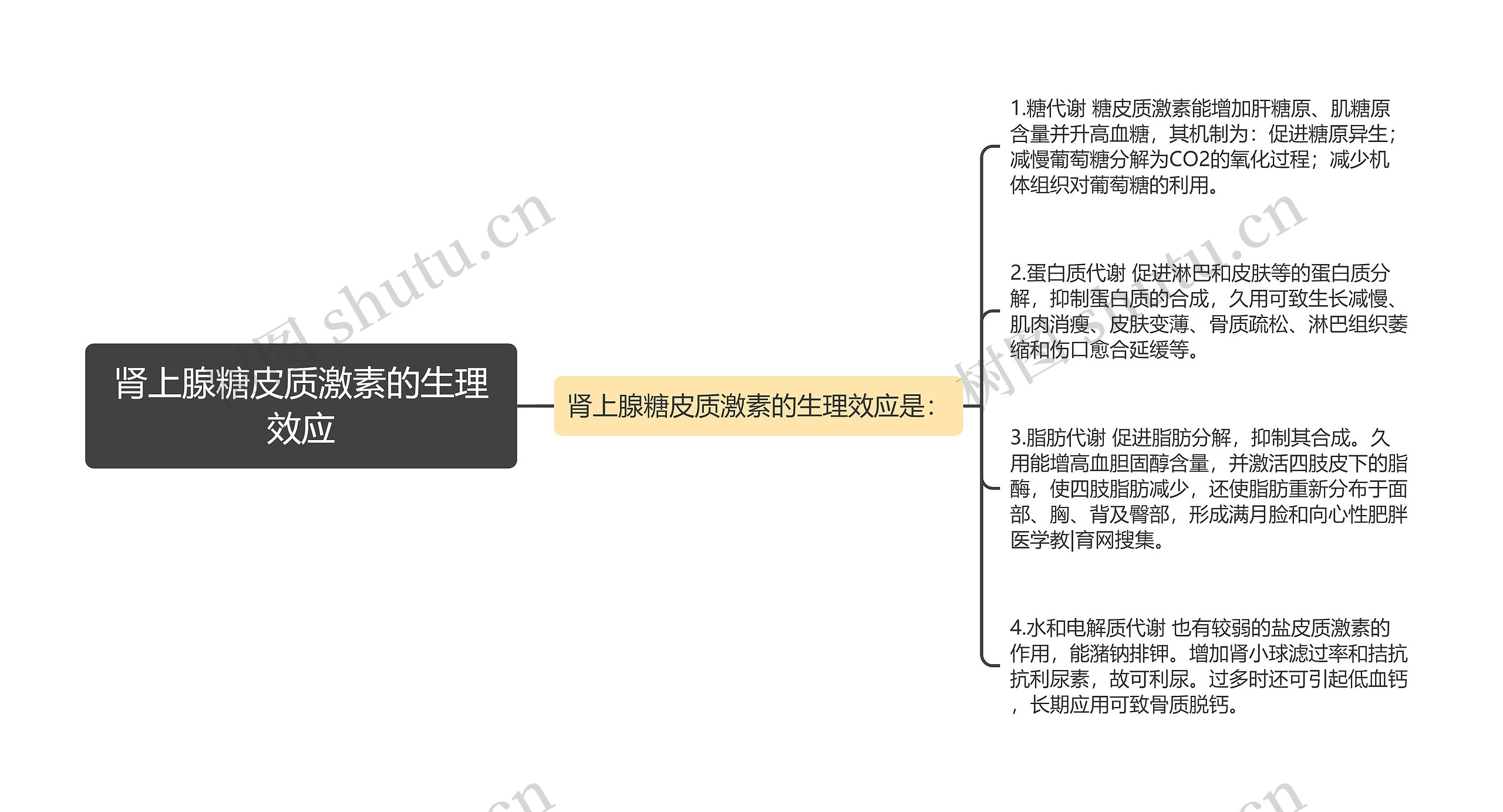 肾上腺糖皮质激素的生理效应思维导图