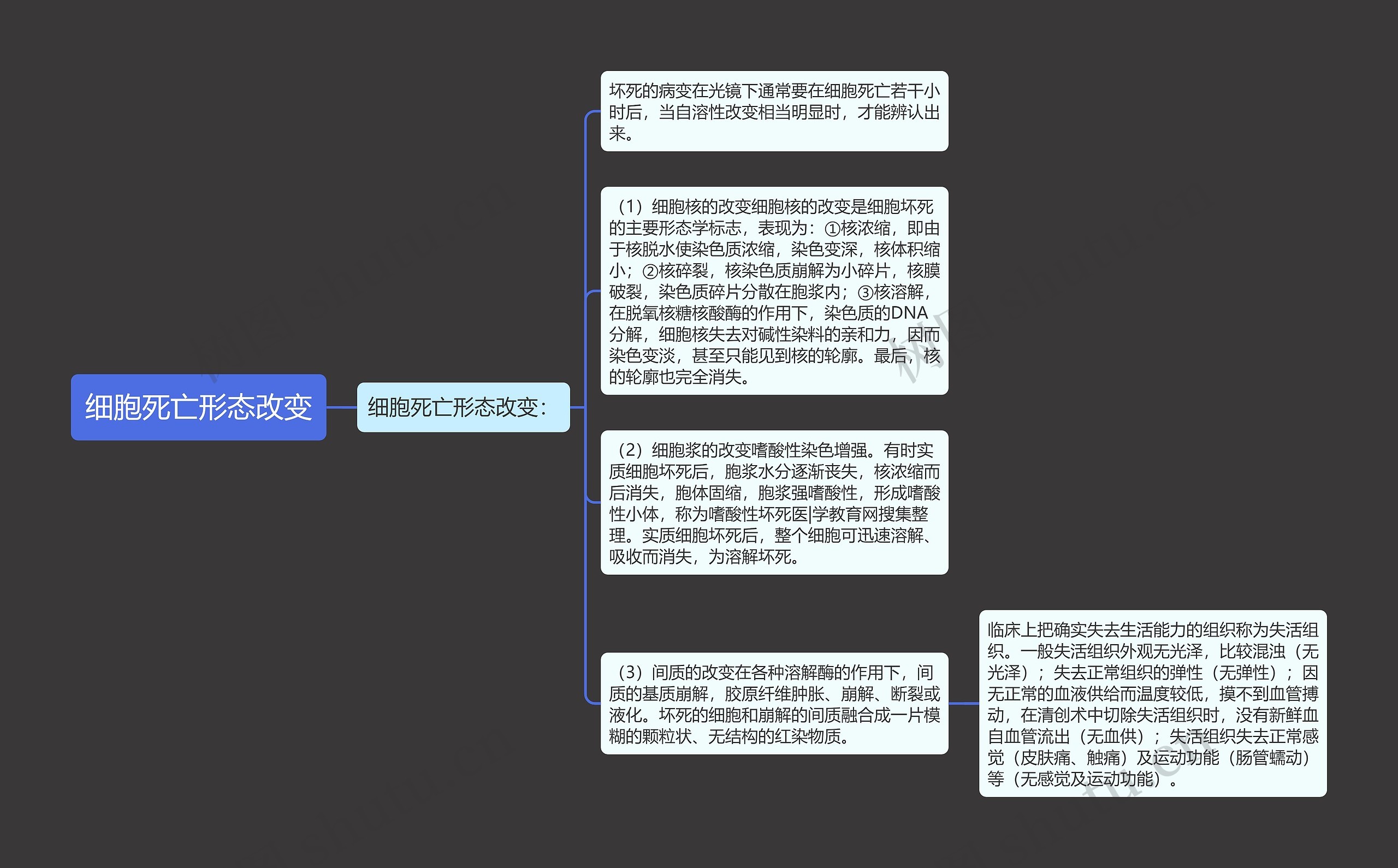 细胞死亡形态改变思维导图