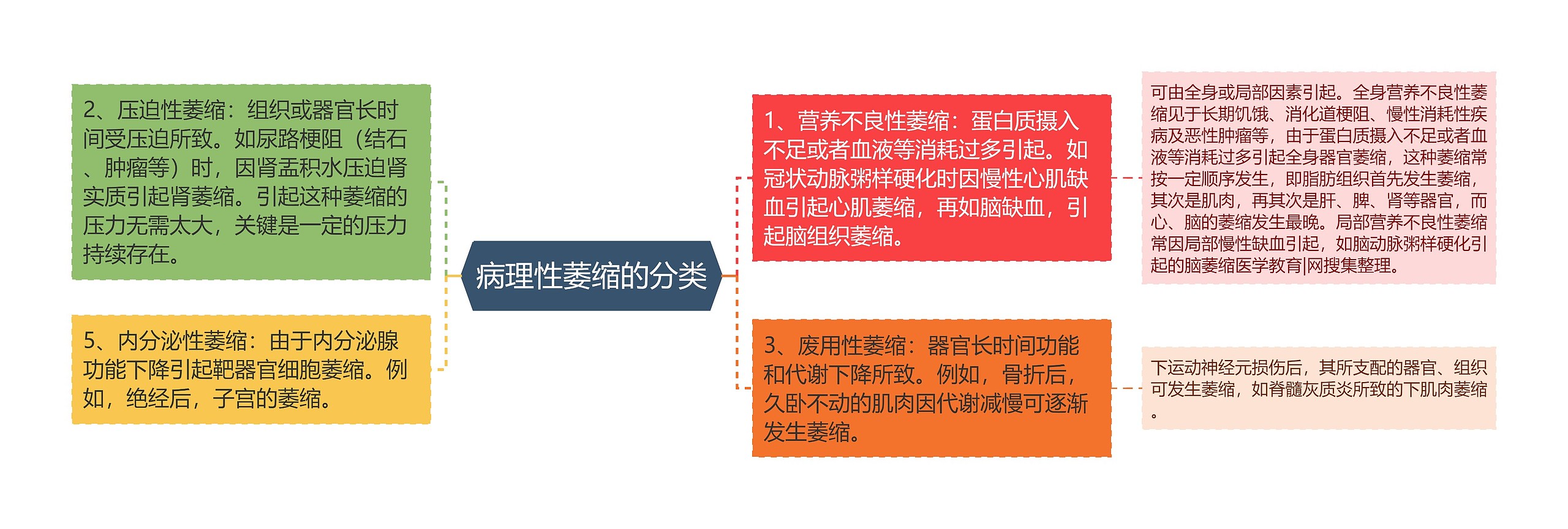 病理性萎缩的分类思维导图