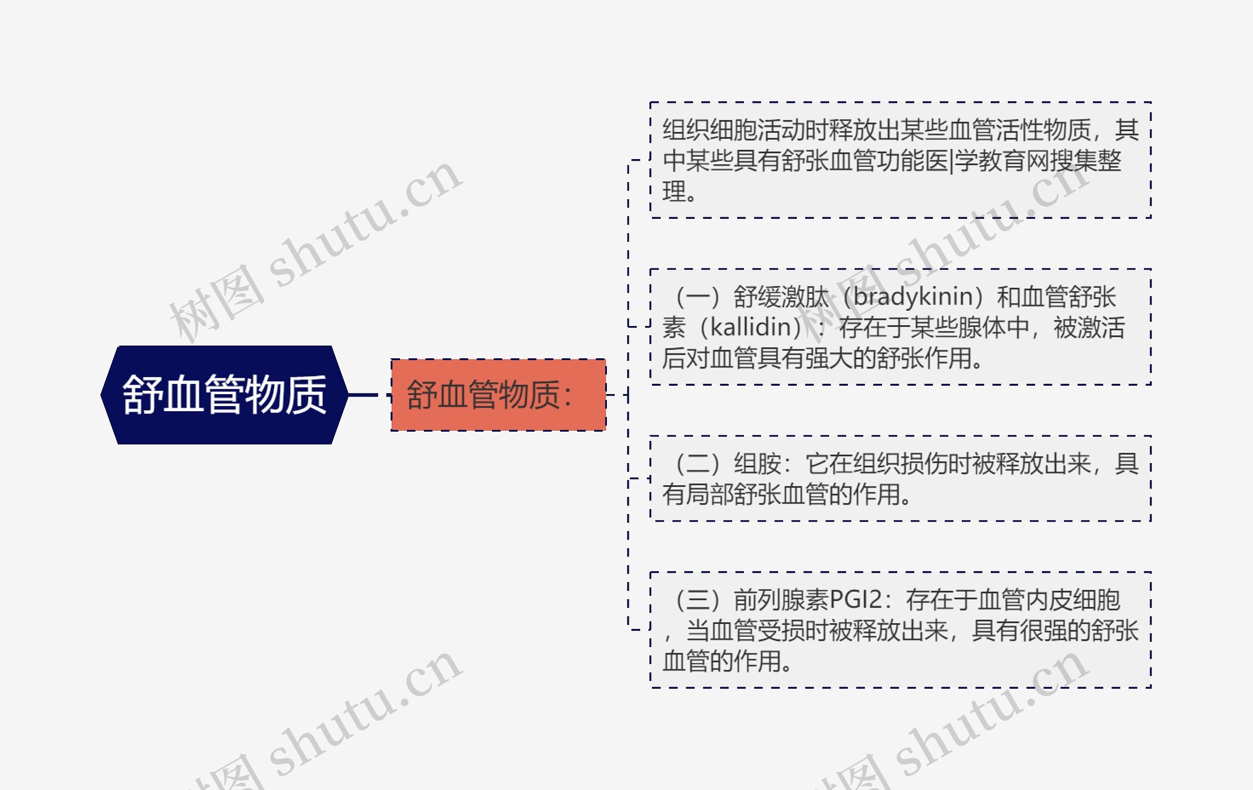 舒血管物质思维导图