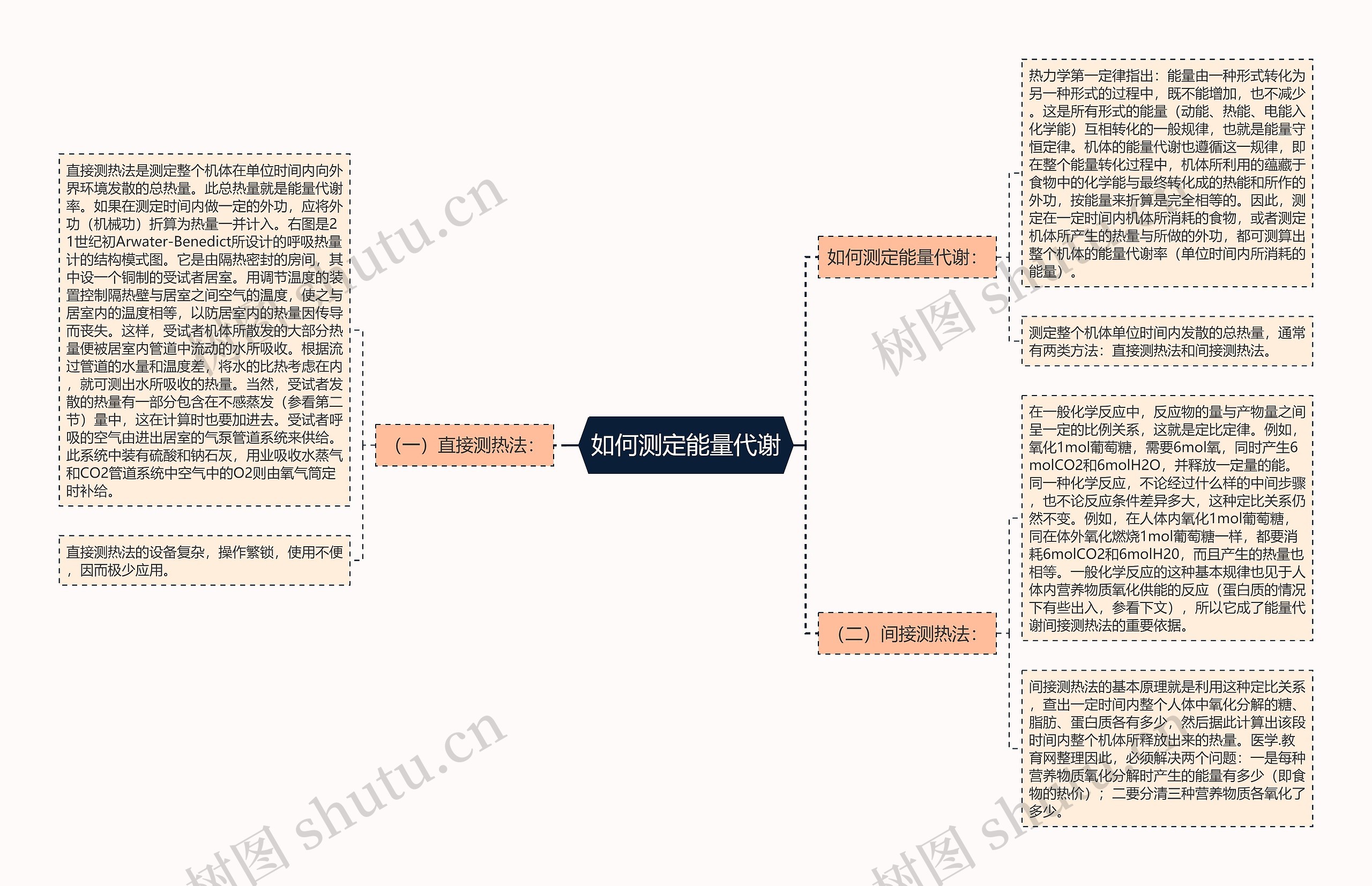 如何测定能量代谢思维导图