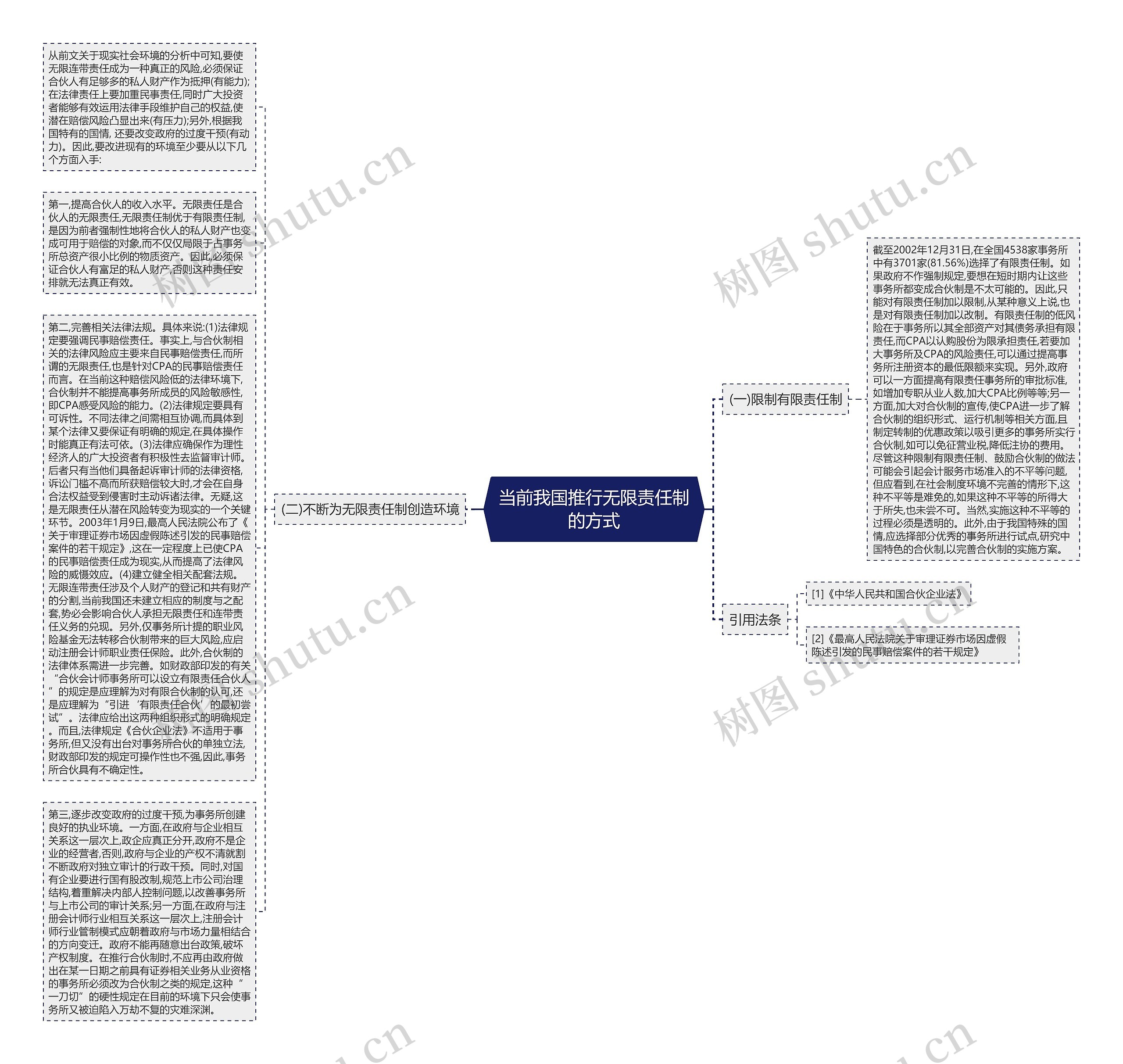 当前我国推行无限责任制的方式思维导图
