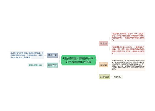 外阴和前庭大腺癌肿手术-妇产科医师手术指导