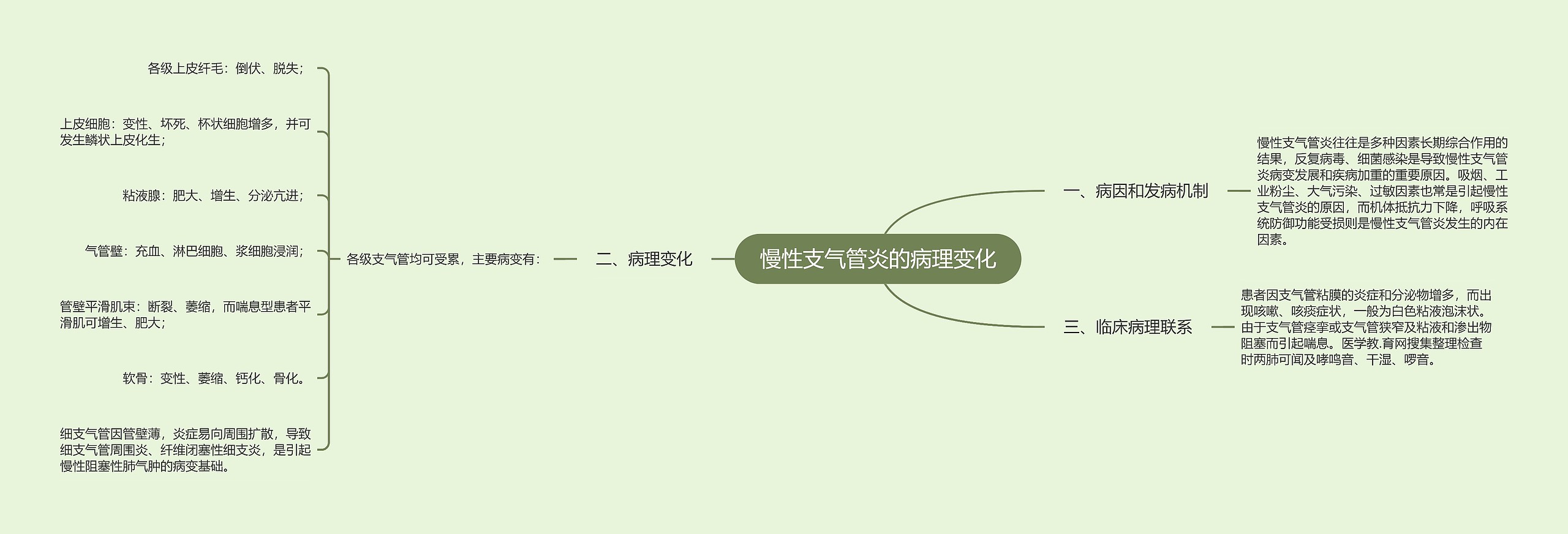 慢性支气管炎的病理变化 慢性支气管炎的病理变化