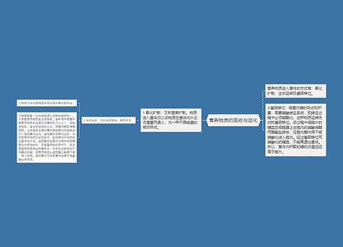 营养物质的吸收与运化