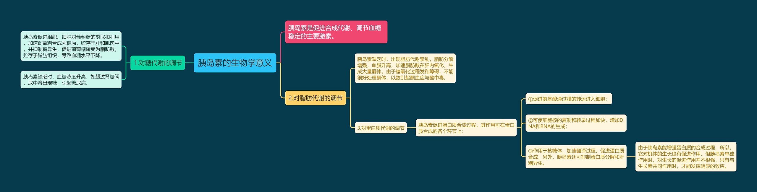 胰岛素的生物学意义思维导图