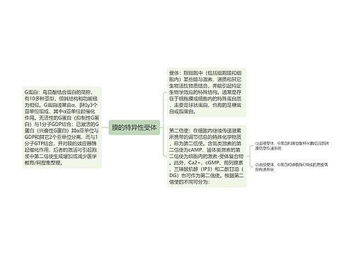 膜的特异性受体