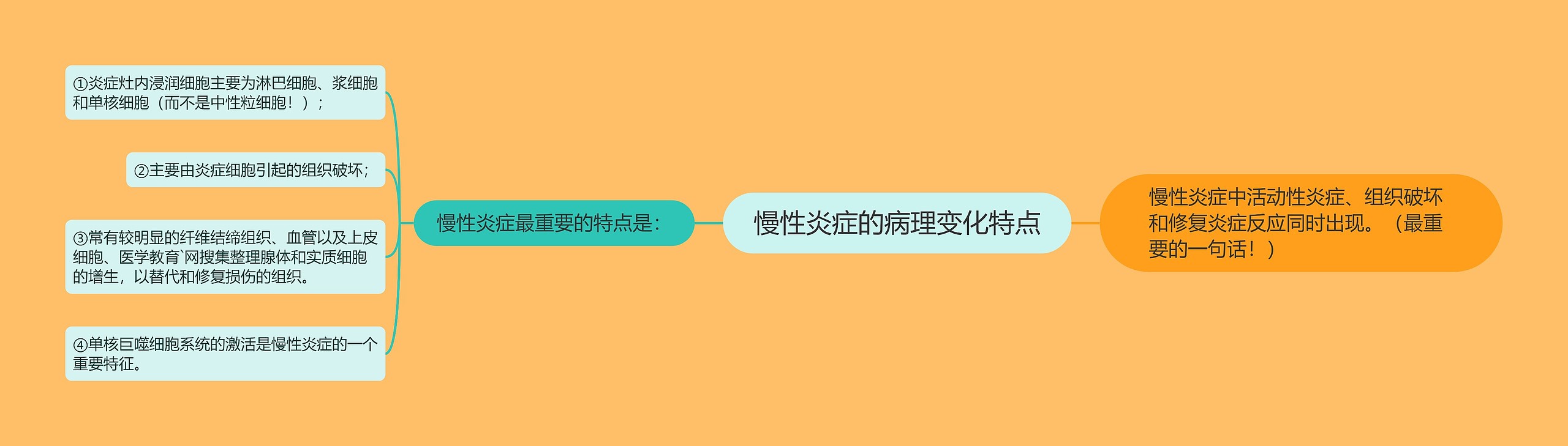 慢性炎症的病理变化特点