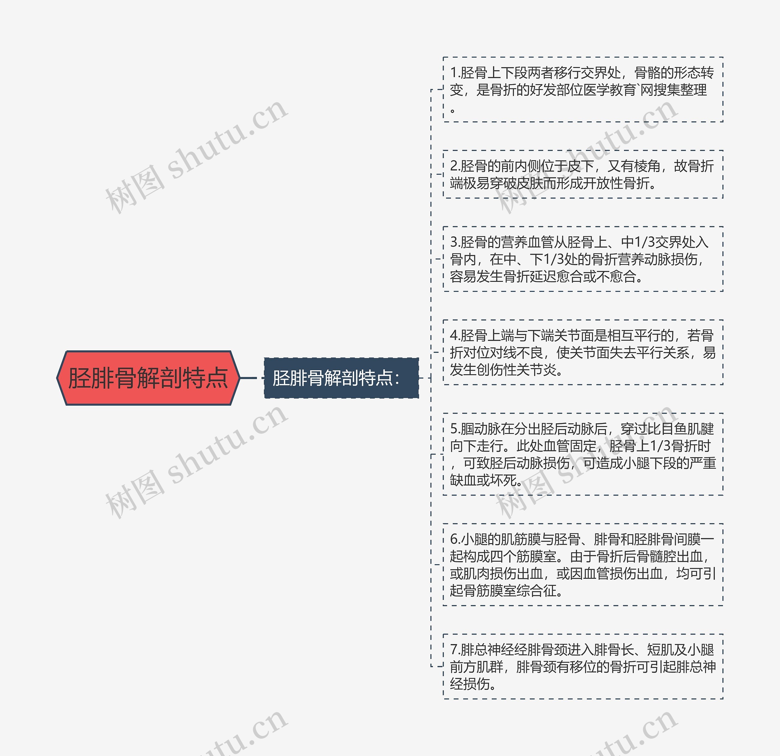 胫腓骨解剖特点 胫腓骨解剖特点