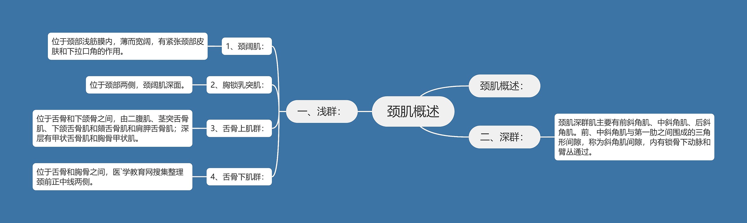 颈肌概述思维导图