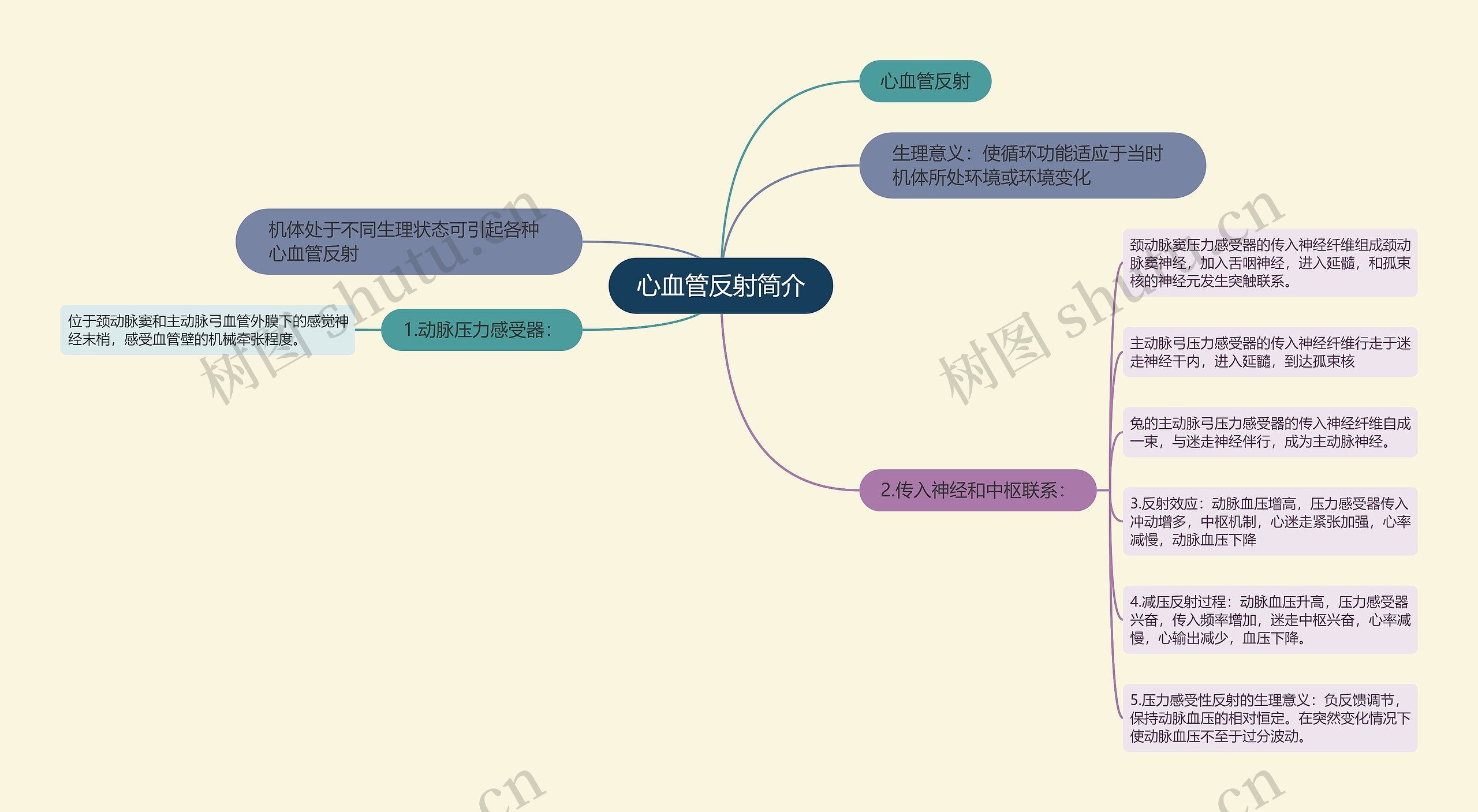 心血管反射简介