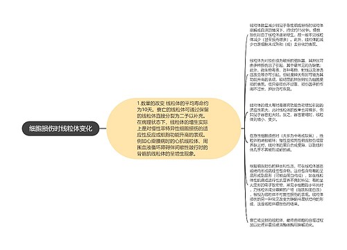 细胞损伤时线粒体变化