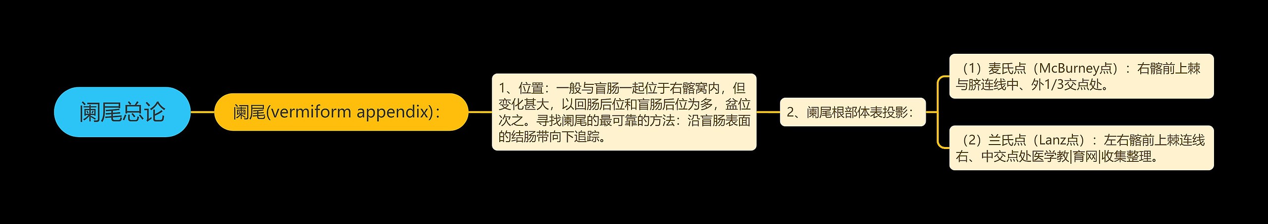 阑尾总论 阑尾总论