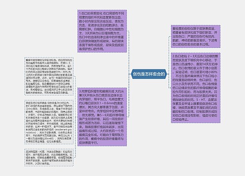 创伤是怎样愈合的