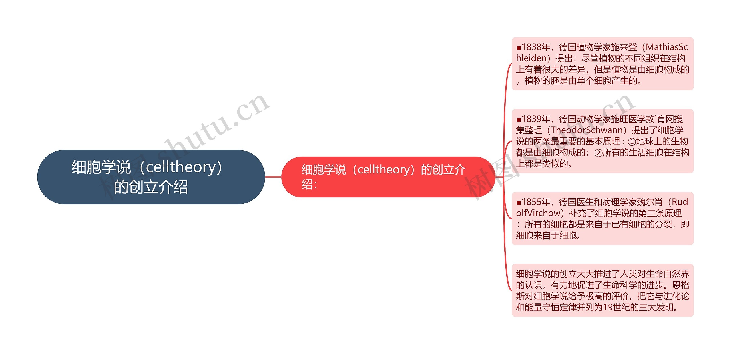 细胞学说（celltheory）的创立介绍