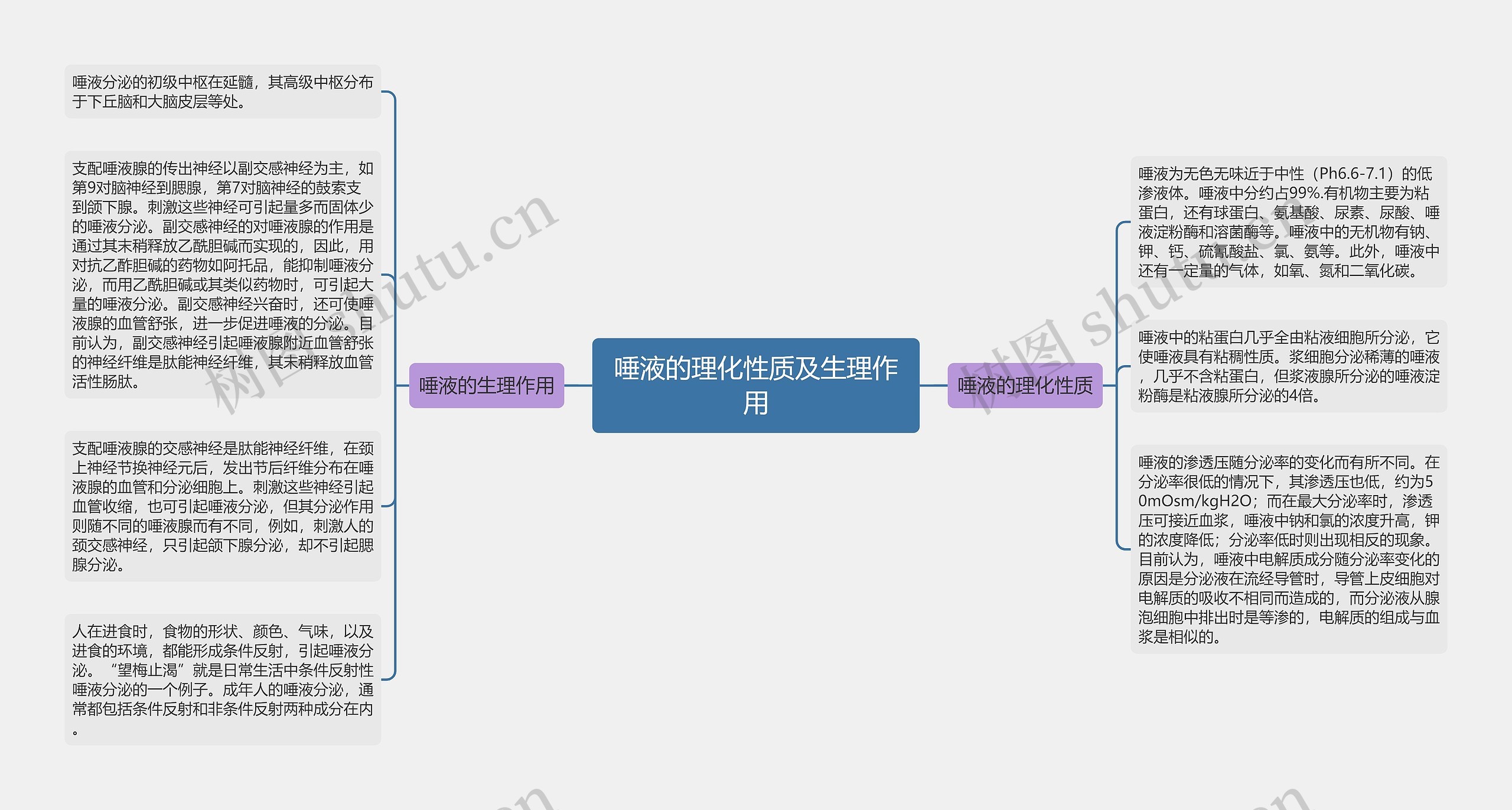 唾液的理化性质及生理作用